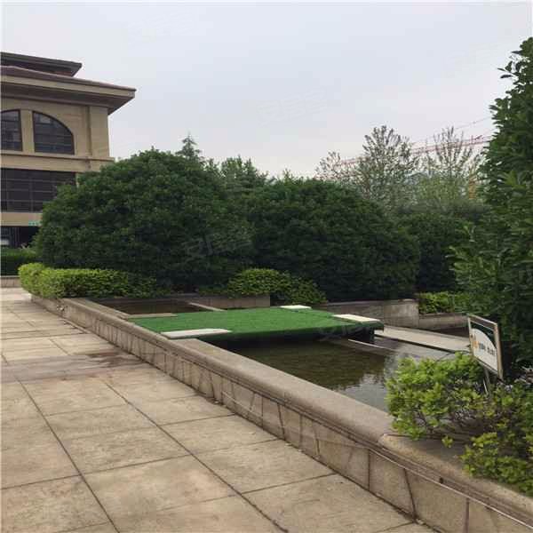 泰山新湖绿园,府东路1号-泰安泰山新湖绿园二手房,租房,房价-泰安安居