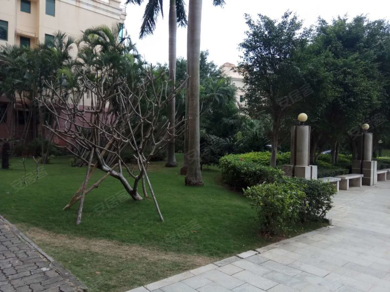 长信海景花园,长怡路10号-海口长信海景花园二手房,租房,房价-海口