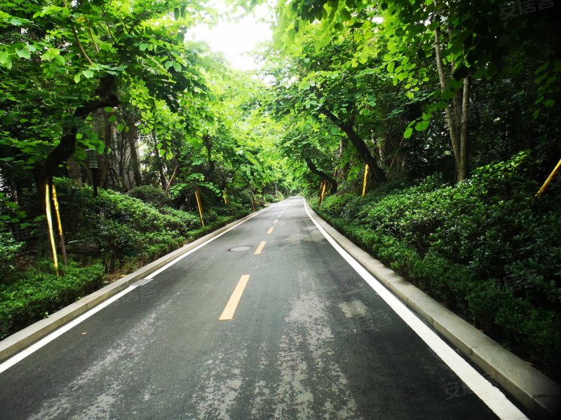 美城悦荣府(别墅)