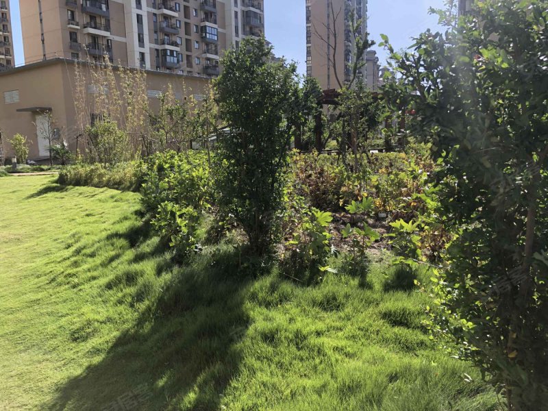 浦江瑞和城陆街区(南) 