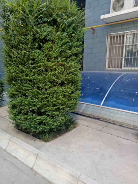 文林佳苑,文林路-咸阳文林佳苑二手房,租房,房价-咸阳安居客