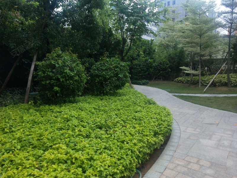 充耀号,华山北路57号-汕头充耀号二手房,租房,房价-汕头安居客