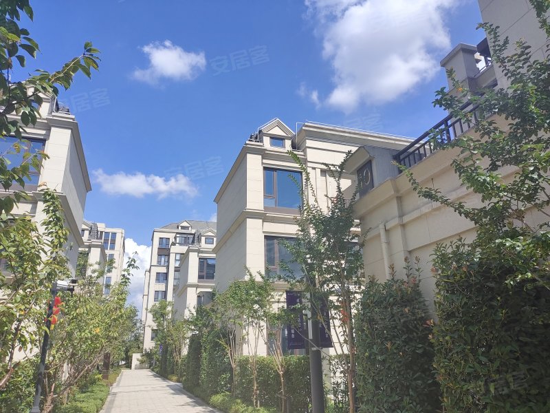 卓越维港(别墅) 