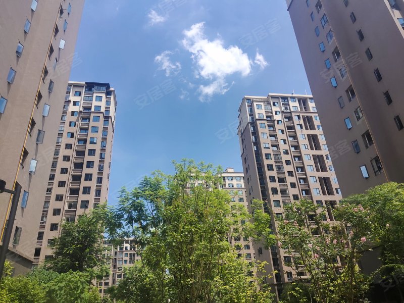 协信天骄溪悦,龙洲大道1399号-重庆协信天骄溪悦二手房,租房,房价