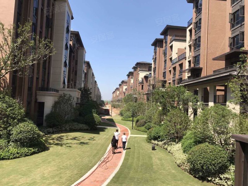 新力金沙湾,诚信路-湛江新力金沙湾二手房,租房,房价-湛江安居客