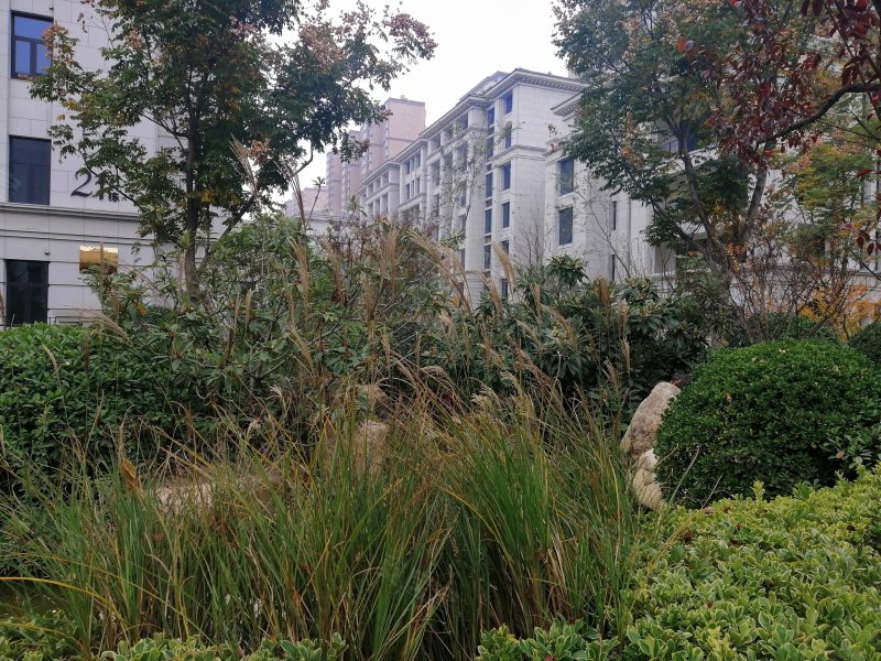 海马公馆,一大街33号-开封海马公馆二手房,租房,房价-开封安居客