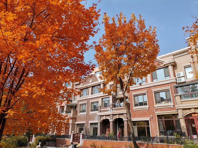 御翠豪庭尚府(一期别墅)