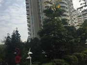 金晖花园电梯大3房,270万带车位一个,全小区