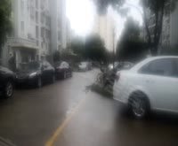 金东名苑(西区) 