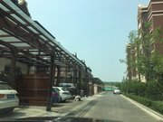 豆张庄镇小区图片