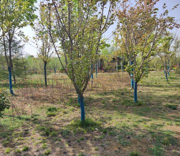 游山路二号居住区