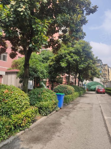 玉兰花园,江津中路195-16号 - 荆州玉兰花园二手房,租房,房价-荆州