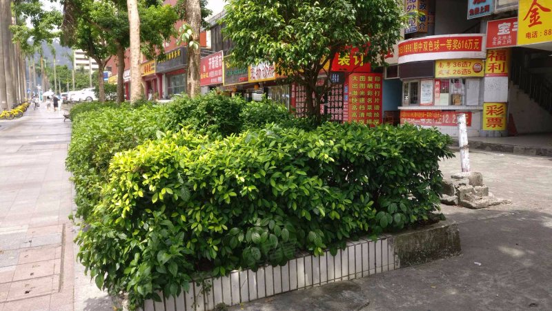 宝丰大厦,迎宾南路2018号-珠海宝丰大厦二手房,租房,房价-珠海安居客