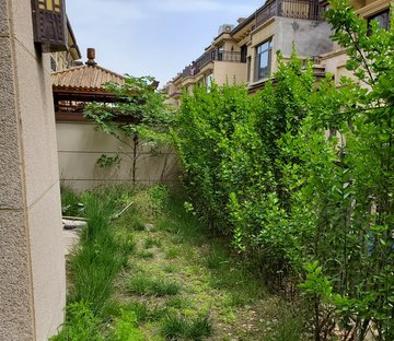 龙湖香醍漫步天宸(别墅)