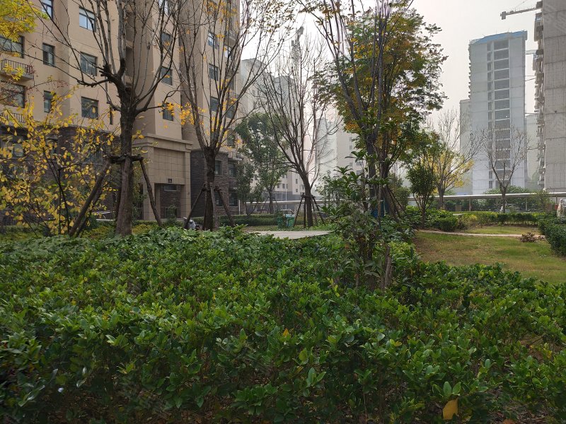 万祥紫竹苑,兴鹤大街-鹤壁万祥紫竹苑二手房,租房,房价-鹤壁安居客