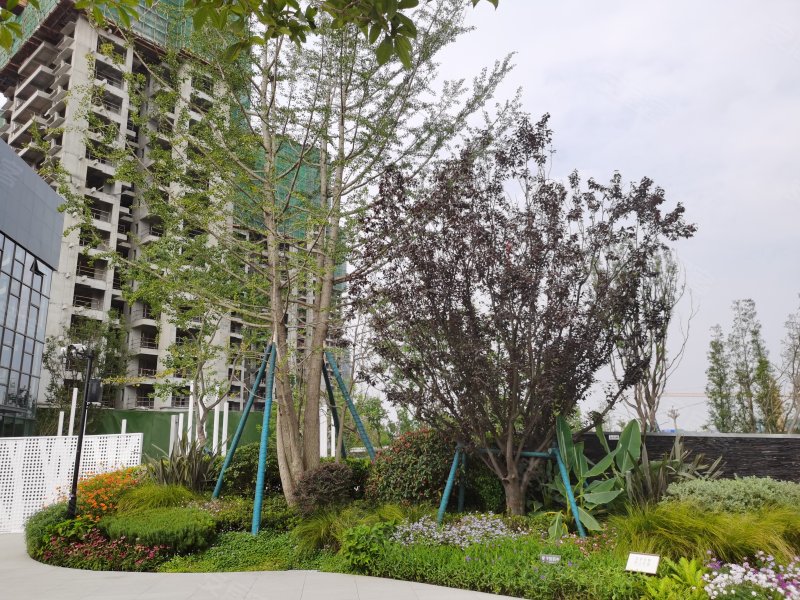 邦泰翡翠城,庐山北路-德阳邦泰翡翠城二手房,租房,房价-德阳安居客