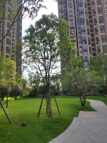 港城印象(西区)