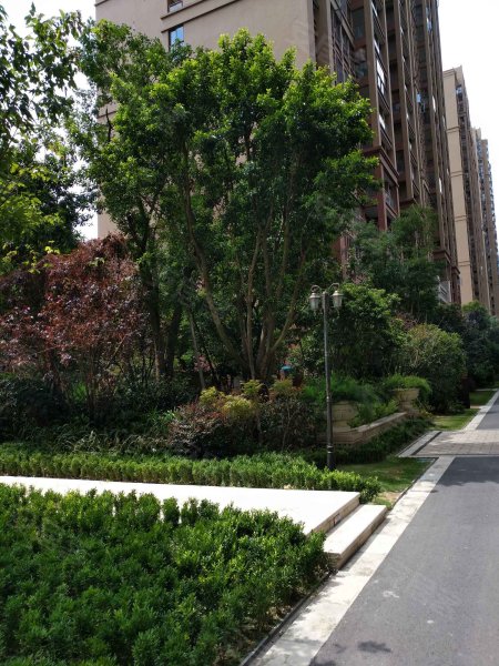 明信仕林府,百信路188号-成都明信仕林府二手房,租房,房价-成都安居客