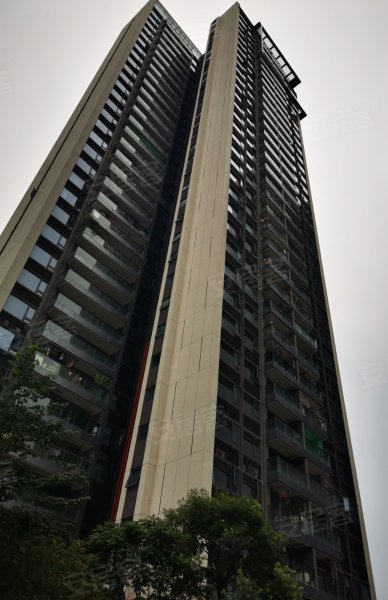 博林君瑞