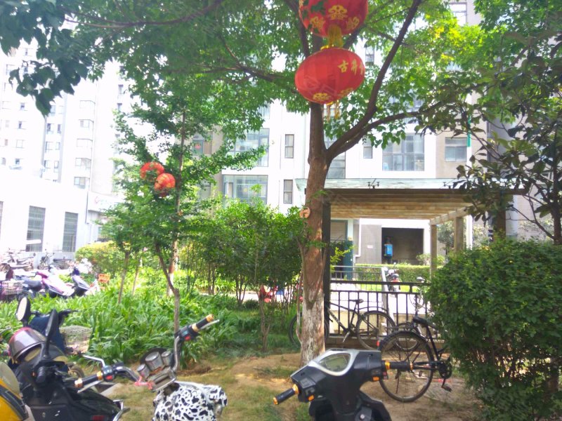 森林阳光花园(一二期)