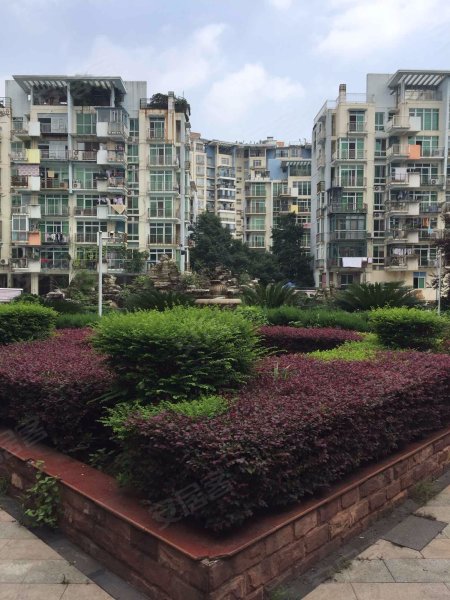 新地东方花都海棠苑