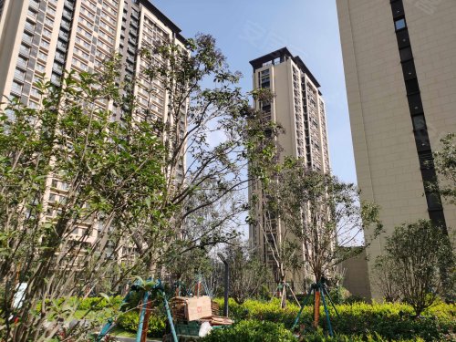 新城金樾府(阳谷),谷山北路 - 阳谷新城金樾府(阳谷)二手房,租房,房价