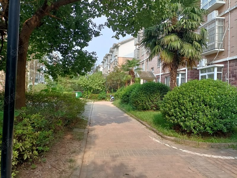 天盈星城,解放南路,近佛子岭中路-六安天盈星城二手房,租房,房价-六安