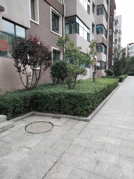 枫林逸景仁恒园