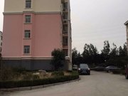 金景  ,多层3楼,带大车库