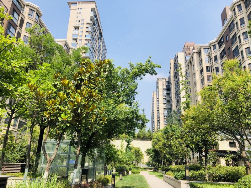 曲江凤凰池,曲江池北路,近曲江池西路-西安曲江凤凰池二手房,租房