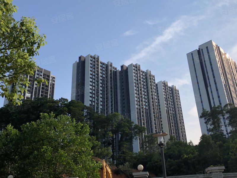 领域88,体育东路1号-肇庆领域88二手房,租房,房价-肇庆安居客