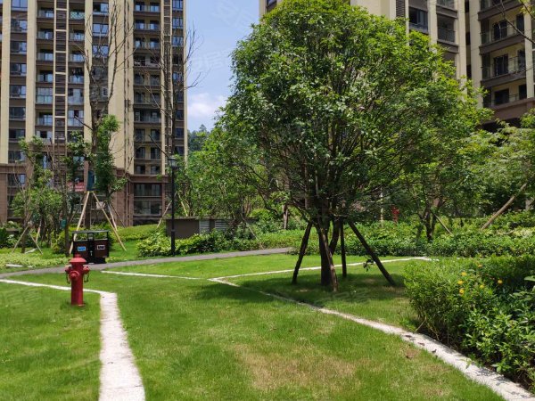 华南城巴南华府(一期),华南路1280号-重庆华南城巴南华府(一期)二手房