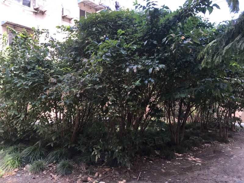 同济路191弄小区 