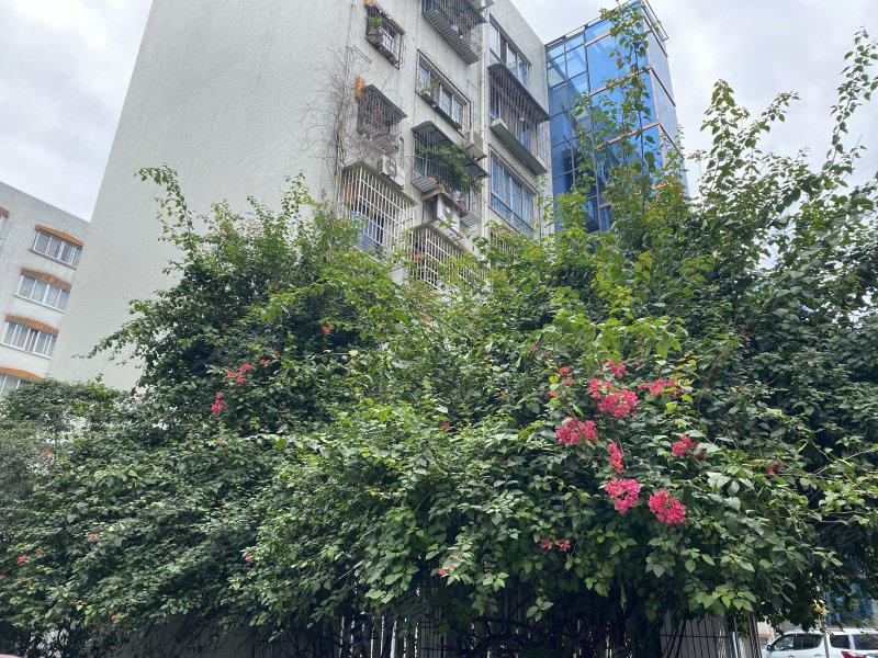 花园小区(涪城),临园路西段5号-绵阳花园小区(涪城)二手房,租房,房价