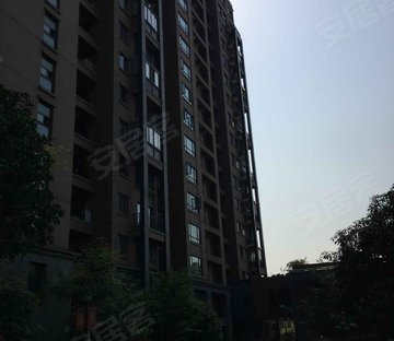 九堡客运站小区图片