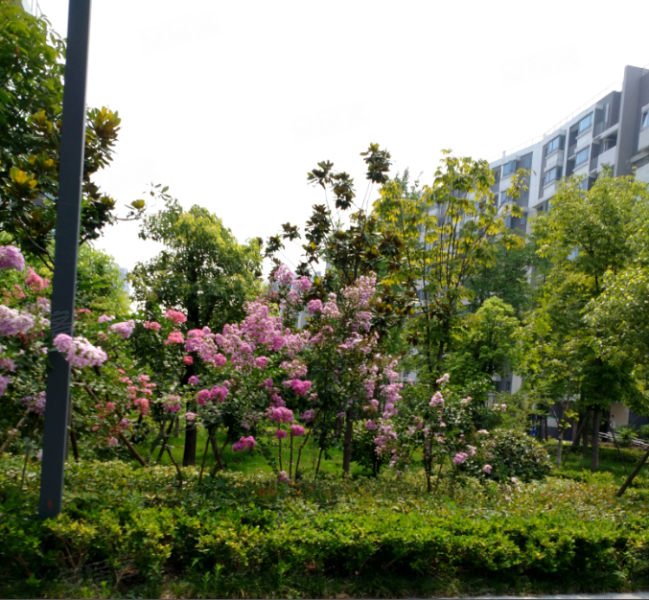 雍景新城一期(西区),丽水路19号-徐州雍景新城一期(西区)二手房,租房