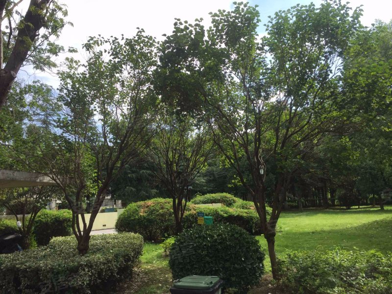 康桥水都第四街区 