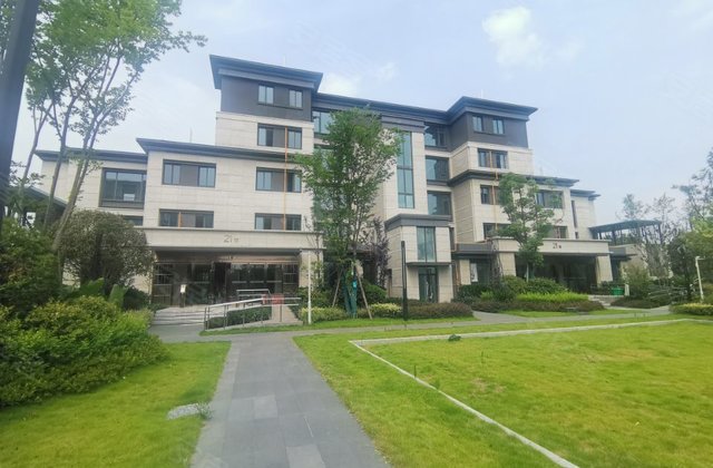 城投置地梧桐集,白塔村五组808号-成都城投置地梧桐集二手房,租房