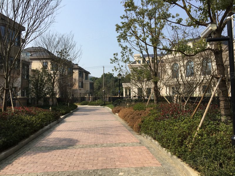 吉宝澜岸铭邸(别墅),金石路559号-无锡吉宝澜岸铭邸(别墅)二手房,租房
