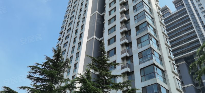 康大凤凰国际,长江西路157号-青岛康大凤凰国际二手房,租房,房价-青岛