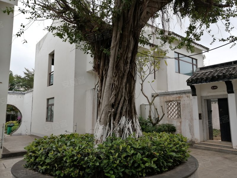 江南城御城(别墅),和平大道66号-海口江南城御城(别墅)二手房,租房