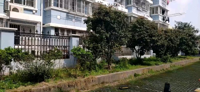 新黄路11弄小区 