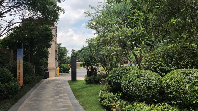 青湖中心,竹溪大道36号