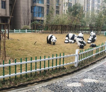 碧桂园城市之光