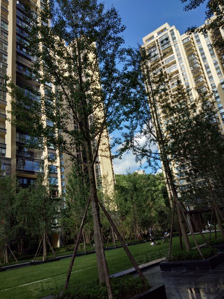 东原香屿,桑林路8号-绵阳东原香屿二手房,租房,房价-绵阳安居客