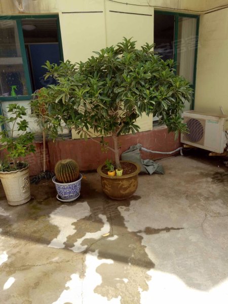 华侨新村(芝罘),胜利路-烟台华侨新村(芝罘)二手房,租房,房价-烟台