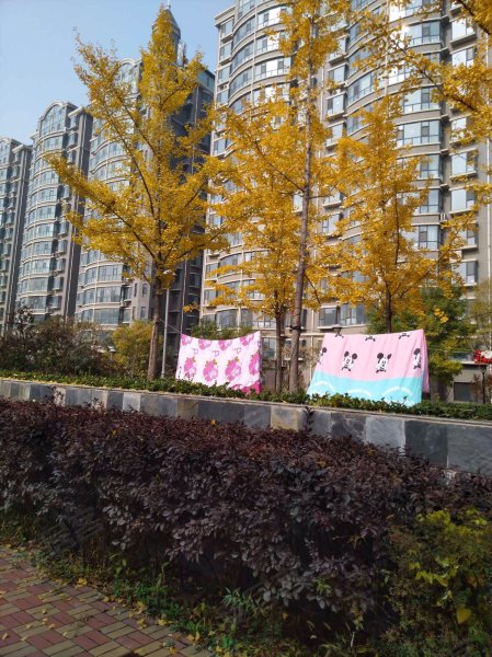 优山美地(别墅),红沟中街166号-太原优山美地(别墅)二手房,租房,房价