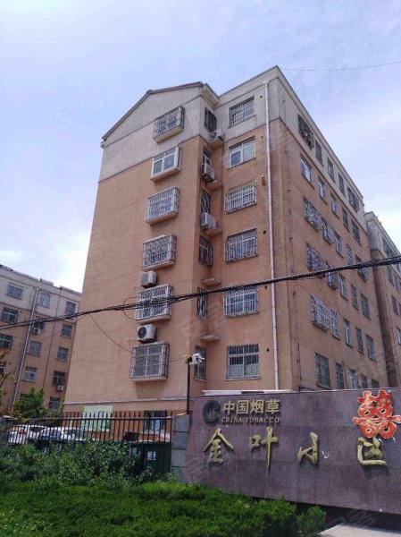 金叶小区(莒南)