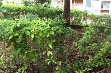 浦东世纪花园(二期别墅)