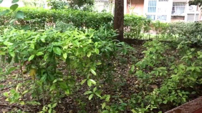 浦东世纪花园(二期别墅) 